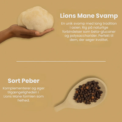 Lions Mane 3200 mg