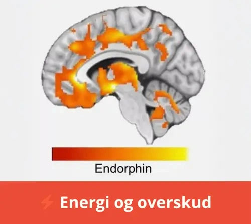 Du får fornyet energi og overskud