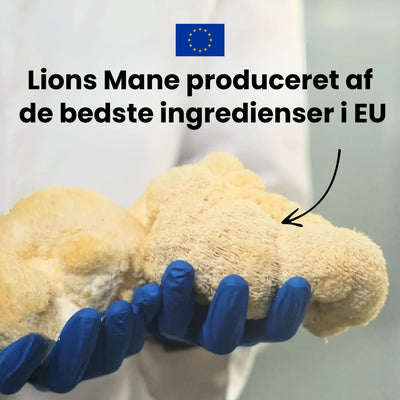 Lions Mane 3200 mg