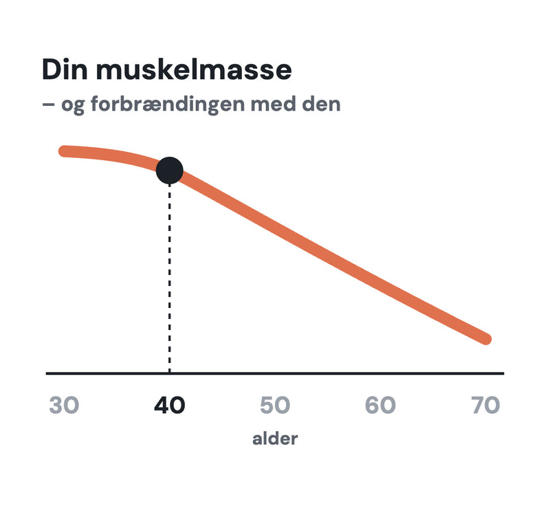 Det er musklerne, der forbrænder – og dem mister du