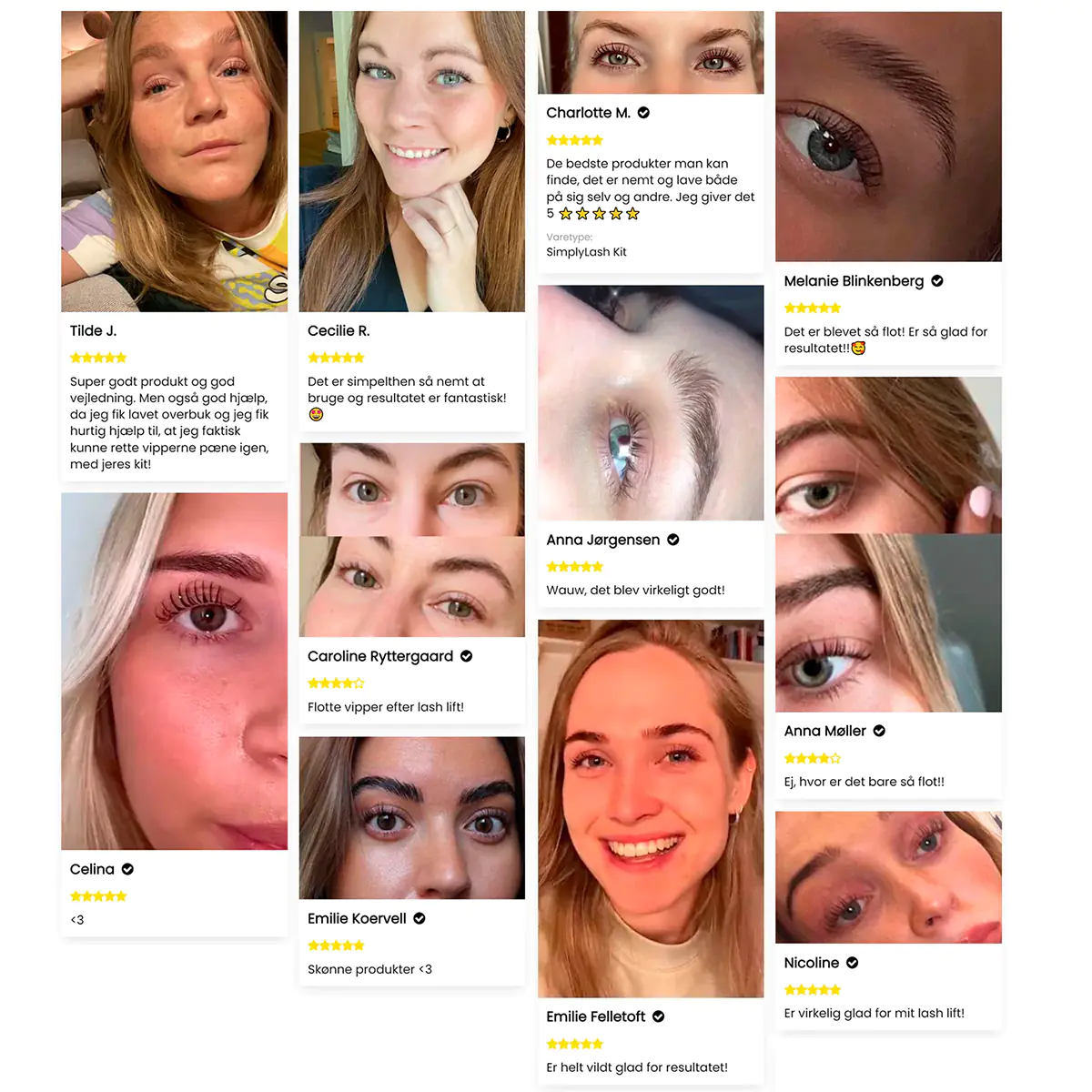 SimplyLash kit